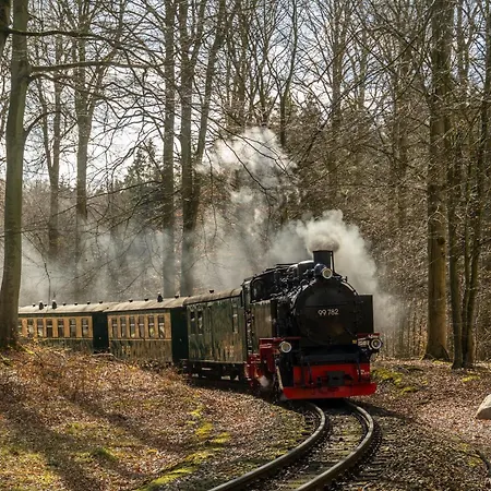 Βίλα 8 Eden Binz